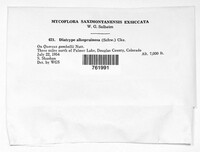 Image Associated With the Occurence